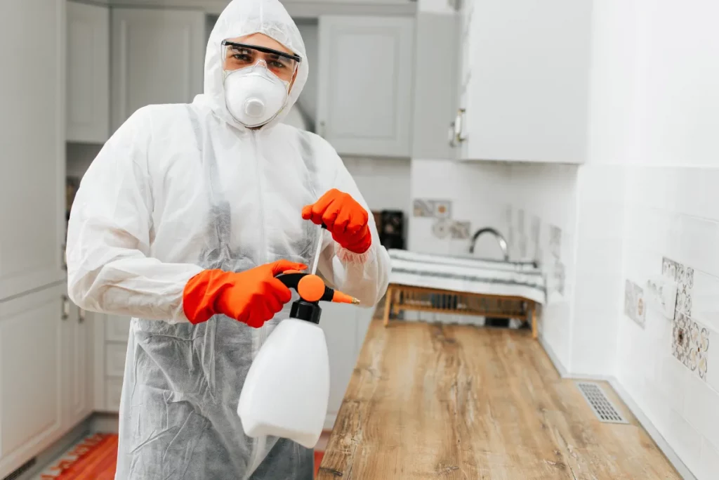 photo d'un technicien en train de réaliser une pulvérisation dans le cadre d'un traitement contre les fourmis.