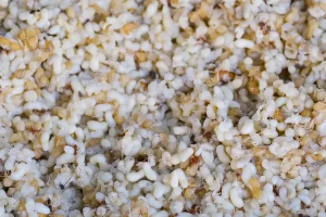 Photo de fourmis blanches ou larves de fourmis.