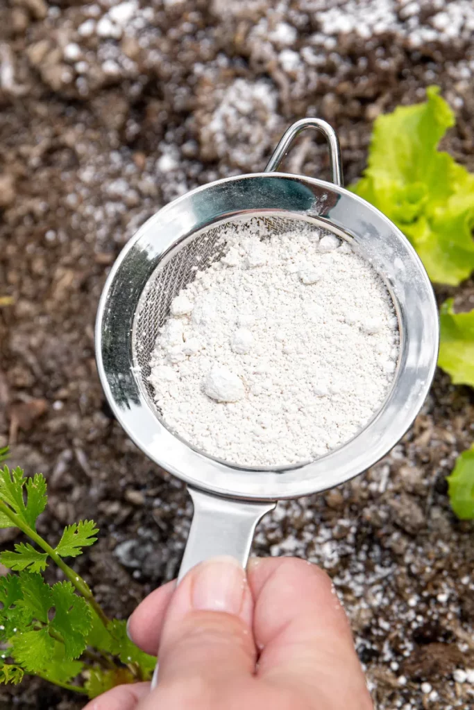 Photo de terre de diatomée saupoudrée dans un jardin contre les fourmis mettant en avant les traitements naturels pour lutter contre les fourmis.